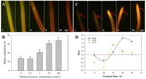 Plants | Special Issue : Bioherbicide Development for Weed Control