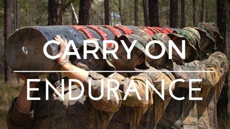 Fun Bootcamp Exercises 的图像结果