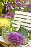 Image result for good morning happy saturday nature