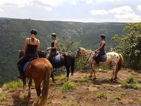 KAAPSEHOOP HORSE TRAILS VOLUNTEER PROJECT (2026) All You Need to Know ...