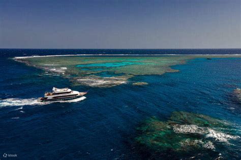 Port ghalib : Sataya Dolphin House Overnight - Klook India