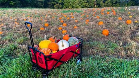 Susquehanna, PA Fall Activities | Autumn Events & Festivals