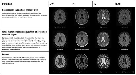 The Potential Impact of Neuroimaging and Translational Research on the ...