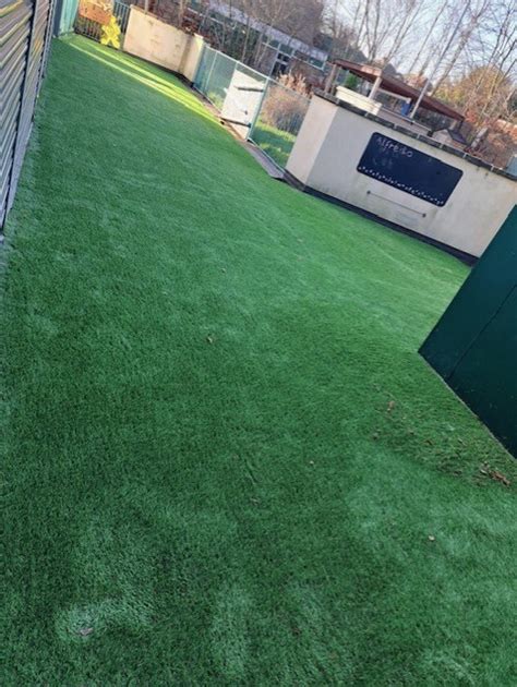 Image result for Astro Turf Installation Guide