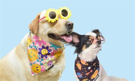 Pet Set Go - Pet Clothing, Pet Toys and Pet T-shirts
