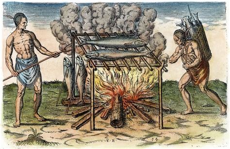 Image result for Native Life