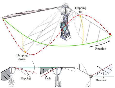 Parametric Study on Aerodynamic Performance of a Flapping Wing Rotor ...