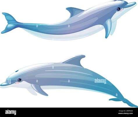 Common bottlenose dolphin Stock Vector Images - Alamy