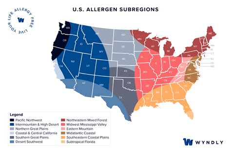 Cedar Tree Allergy Cause, Symptoms, Treatment 2026 & Wyndly