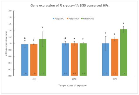 Functional Analysis of Conserved Hypothetical Proteins from the ...