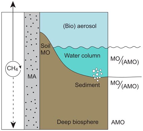 Methanogens Through Time and Space: Impact on Earth’s Planetary ...