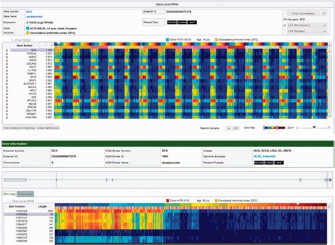 Heat Map of Transcriptome Analysis of Pathogen Infection 的图像结果