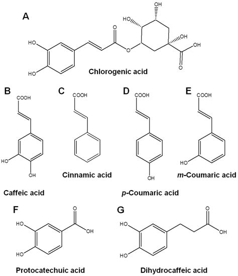 Catechol Groups Enable Reactive Oxygen Species Scavenging-Mediated ...