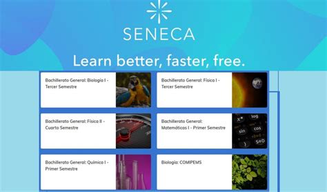 Image result for Seneca Learning Hack