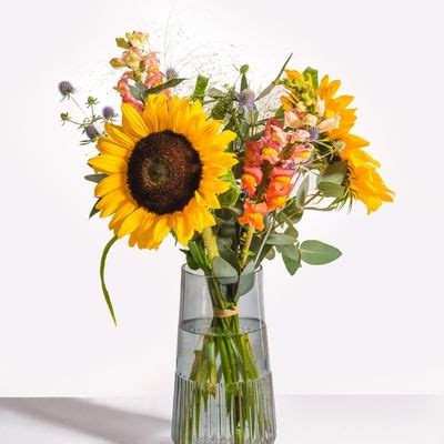 Happy Summer Greetings: Order Flowers Online | Interflora India | ID1350117