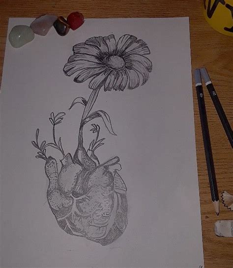 Image result for Drawing Inspiration