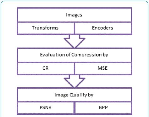Image result for Defines the Individual Compression Algorithm Step by Step
