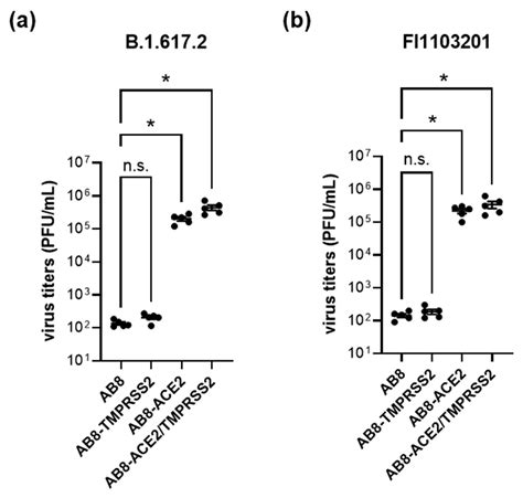 Importance of ACE2 for SARS-CoV-2 Infection of Kidney Cells