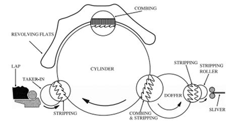 Carding Process Steps 的图像结果