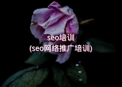 seo培训(seo网络推广培训) - 洋葱SEO