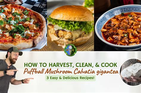 How to Cook Giant Puffball Mushroom Recipes