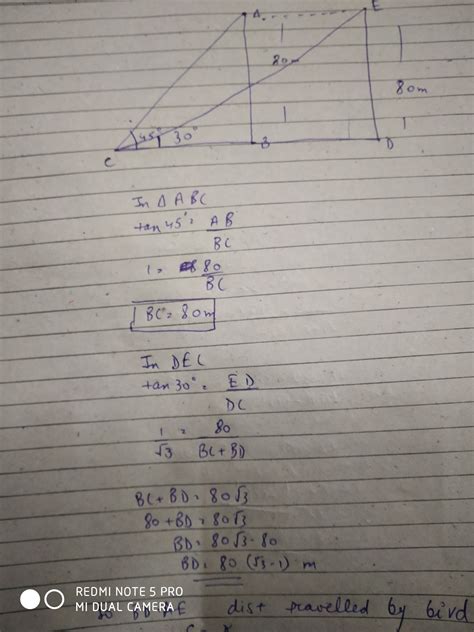 A bird is sitting on the top of a 80m high tree.From a point on ground ...