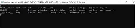 API Security Testing Using Zap 的图像结果
