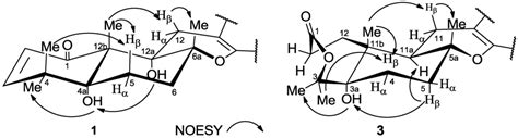 Marine Drugs | Special Issue : Bioactive Compounds from Marine Fungi