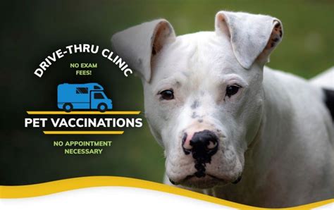 Drive-Thru Vaccination Clinic - Smithville, Heritage Park, Smithville ...