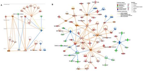 Persistent Cryptosporidium parvum Infection Leads to the Development of ...