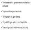 Diiference between Echinoderms and crustaceans. Each 4-5 points ...