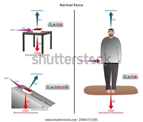 Image result for Gravity Model Normal Force