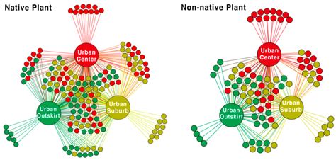Plant Diversity Distribution along an Urbanization Gradient and ...