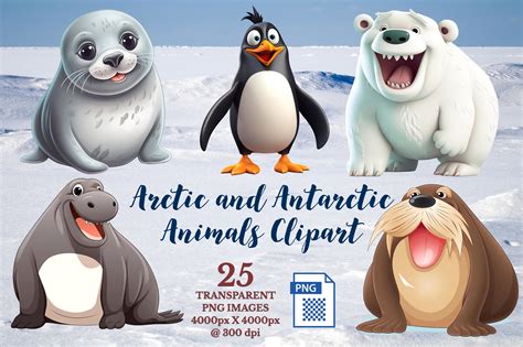 Antarctic Animals Clipart