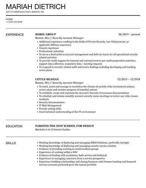 Security Account Manager Resume Samples | Velvet Jobs
