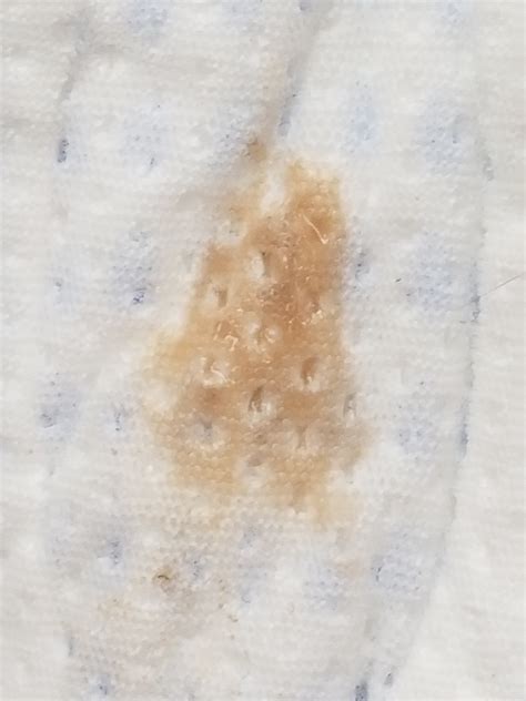 My Period Has Been Really Light And Brown | Americanwarmoms.org