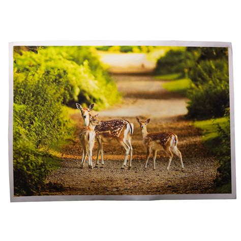 Deer Painting Vastu Feng Shui Canvas Print