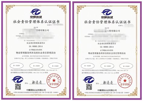 sgs公司iso认证，sgs认证公司-易成盛事体系认证