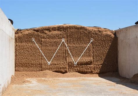 Silage Sampling Core 的图像结果