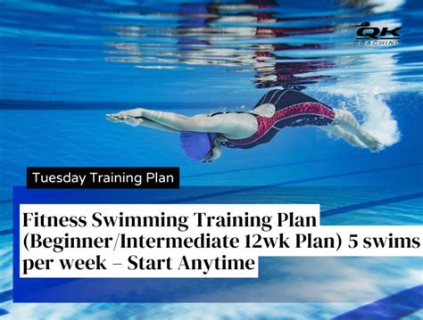Image result for Swimming Training Program