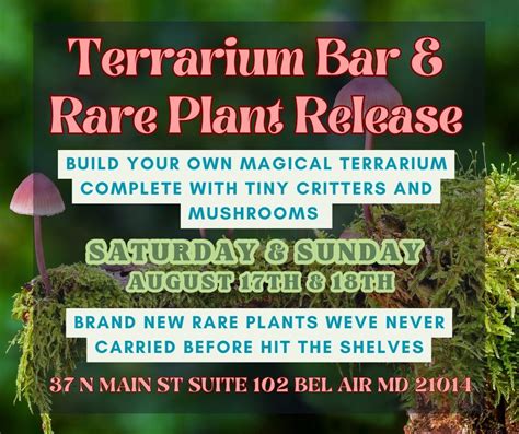 Build Your Own Terrarium Bar AND Rare Plant Release, Twisted Roots Rare ...