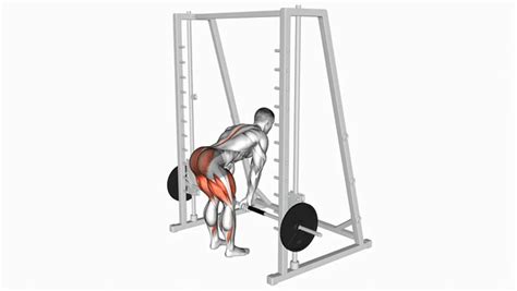 Smith Machine Deadlift Exercise Guide | How To, Muscles Worked & Variations