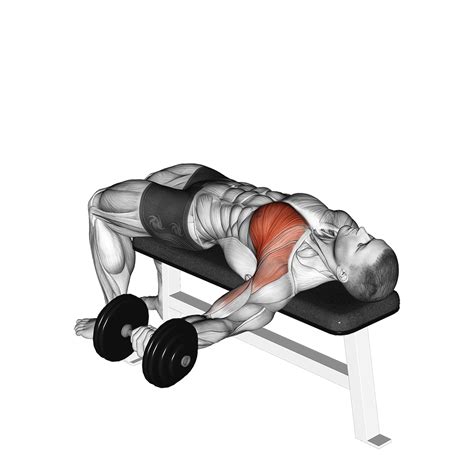 Flat Bench Dumbbell Fly