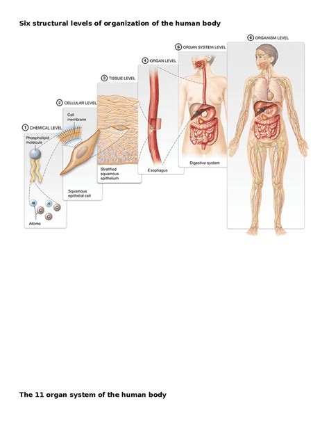 Example of System Structure 的图像结果