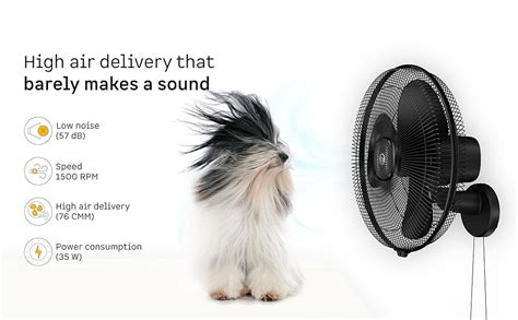 atomberg Renesa 400mm Wall Mount Fan | 5-star rated | Ideal for Home ...