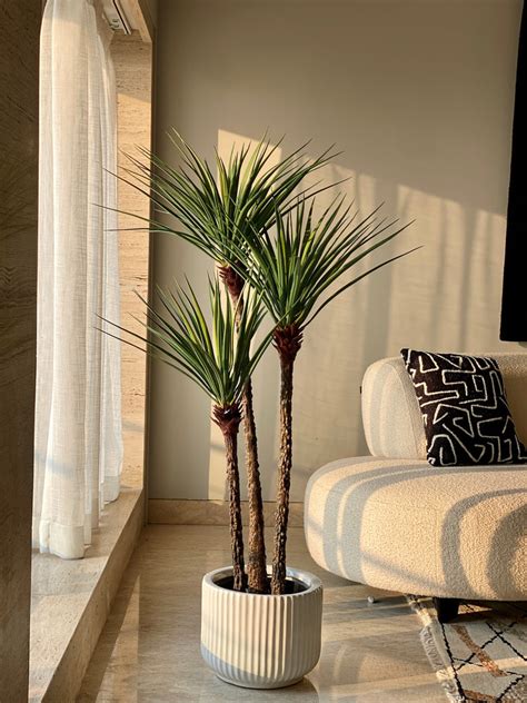 5 Feet – Mason Home by Amarsons - Lifestyle & Decor