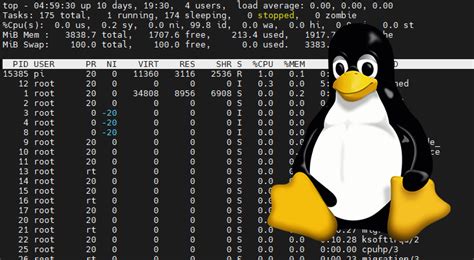 How to Run the Job by Using Linux Command 的图像结果