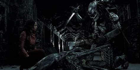 Image result for Alien vs Predator Face Off