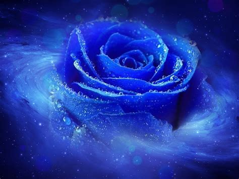 动态玫瑰花爱字的图片,蓝玫瑰花图片动态,动态玫瑰花图片大全,动态