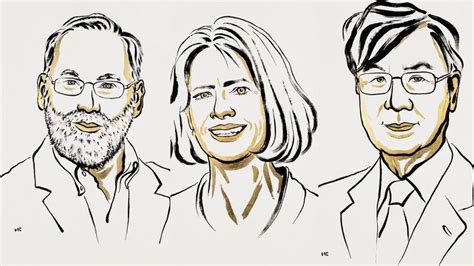 Nobel Prize 2025 in Medicine Awarded to Brunkow, Ramsdell & Sakaguchi
